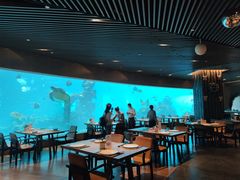 大堂-海棠湾洲际-涛·海底餐厅·美人鱼·自助餐·海底隧道