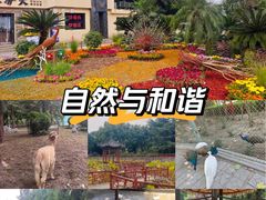 -保定市动物园