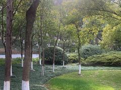 -新洲生态园