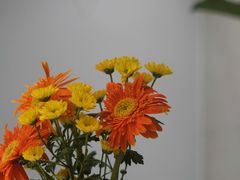 -Manner Coffee(深圳福田大中华店)