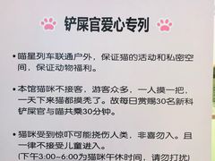 -猫咪博物馆(顶澳仔猫街店)