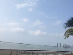 -万绿园
