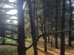 -国家植物园南园