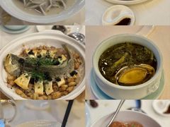-顺峰·粤菜海鲜·早茶自助(阜成店)