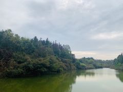 -象山森林公园