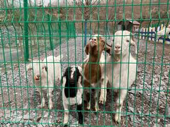 -西部长青自然儿童乐园