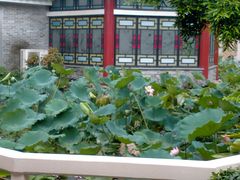 -番禺宾馆丽苑厅