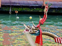 -荔湾湖公园