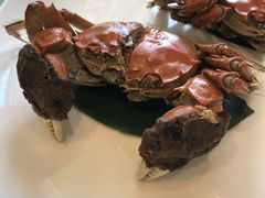 -旺顺阁鱼头泡饼(小红门店)