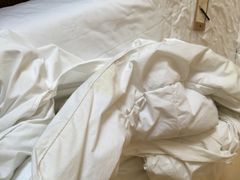 金陵饭店-南京金陵饭店