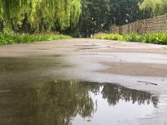 -东郊湿地公园