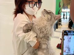 -凯德广场(武胜路店)