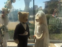 -济州岛泰迪熊博物馆