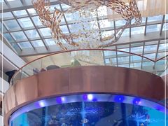 -OPEN開全日自助餐厅·西餐·海鲜(佛山希尔顿酒店)