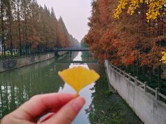 -上海大学(宝山校区)