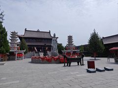 -大槐树寻根祭祖园
