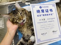 -芭比堂动物医院广州顽皮分院
