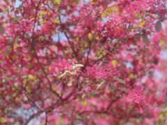 -幕燕滨江·长江观音景区