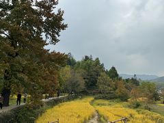 -塔川景区
