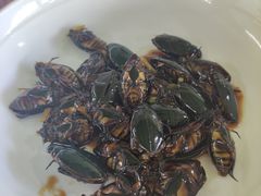 -大湾区中央湿地公园-十九涌