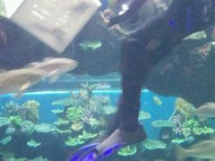 -运城海洋馆