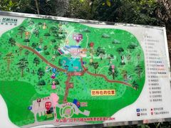 -天鹿湖森林公园