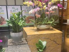 -黔蘑菇四季餐厅(观山湖店)