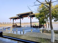 -漩门湾国家湿地公园