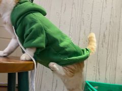 -领晟体育蓝天花园室内游泳馆
