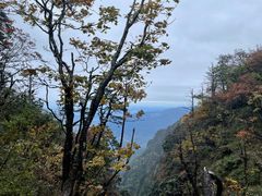 -峨眉山风景名胜区