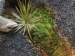 大堂-Metal hands·铁手咖啡