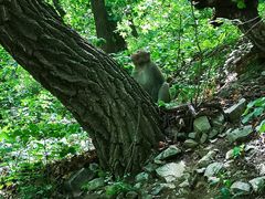 -北京上方山国家森林公园