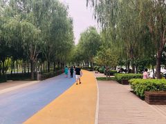 -郑东新区湿地公园