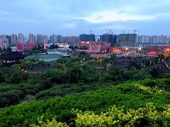 -丽晶美庐·玉兰餐厅