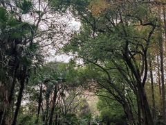 -采石矶景区