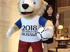 -谢列梅捷沃国际机场