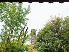 -上海佘山国家森林公园天马山园