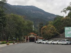 -广州市流溪河国家森林公园