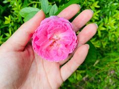 -悦哉·派对·草坪婚礼·围炉煮茶(三圣乡店)