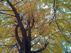 -牛班音乐学校(晶融汇购物中心店)