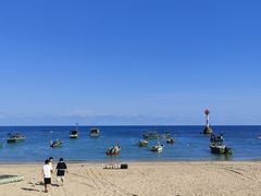 -东郊椰林