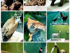 -国家自然博物馆