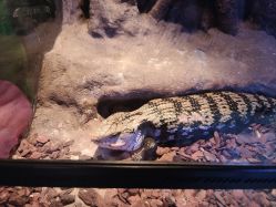 -酷嗒动物文化乐园(cutezoo西溪乐天城店)