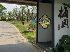 -上海长兴岛郊野公园