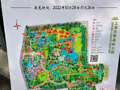 -上海共青森林公园