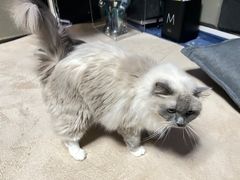 -零纪元VR体验馆·桌游(黄浦店)