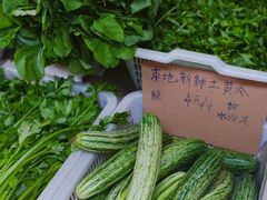 -葑门横街