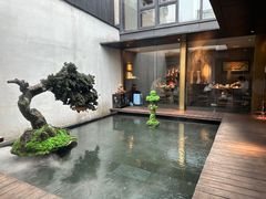 -觀芷隐轩