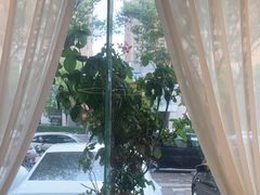 -小秦淮·南京土菜(新亭西路店)