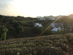 -帐篷客·溪龙茶谷度假酒店